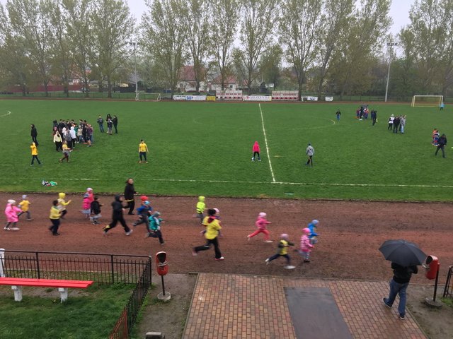 Nárcisz futás 2017 25